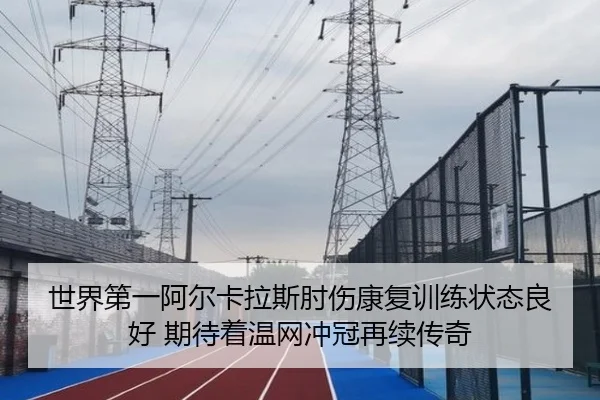 世界第一阿尔卡拉斯肘伤康复训练状态良好 期待着温网冲冠再续传奇