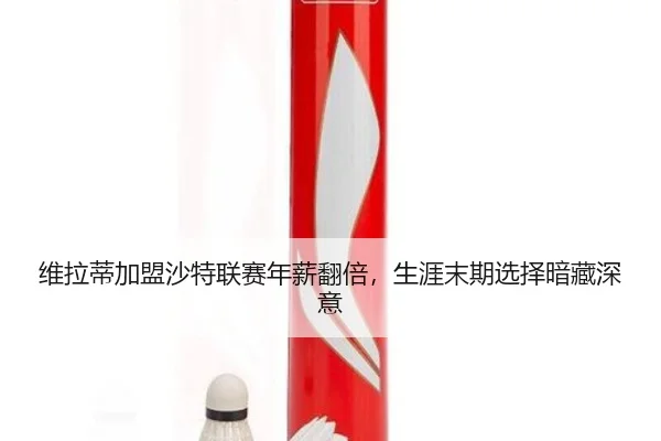wei-la-di-jia-meng-sha-te-lian-sai-nian-xin-fan-bei-sheng-ya-mo-qi-xuan-ze-an-cang-shen-yi-3-225.jpg